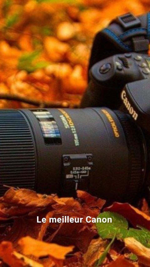 Le meilleur Canon